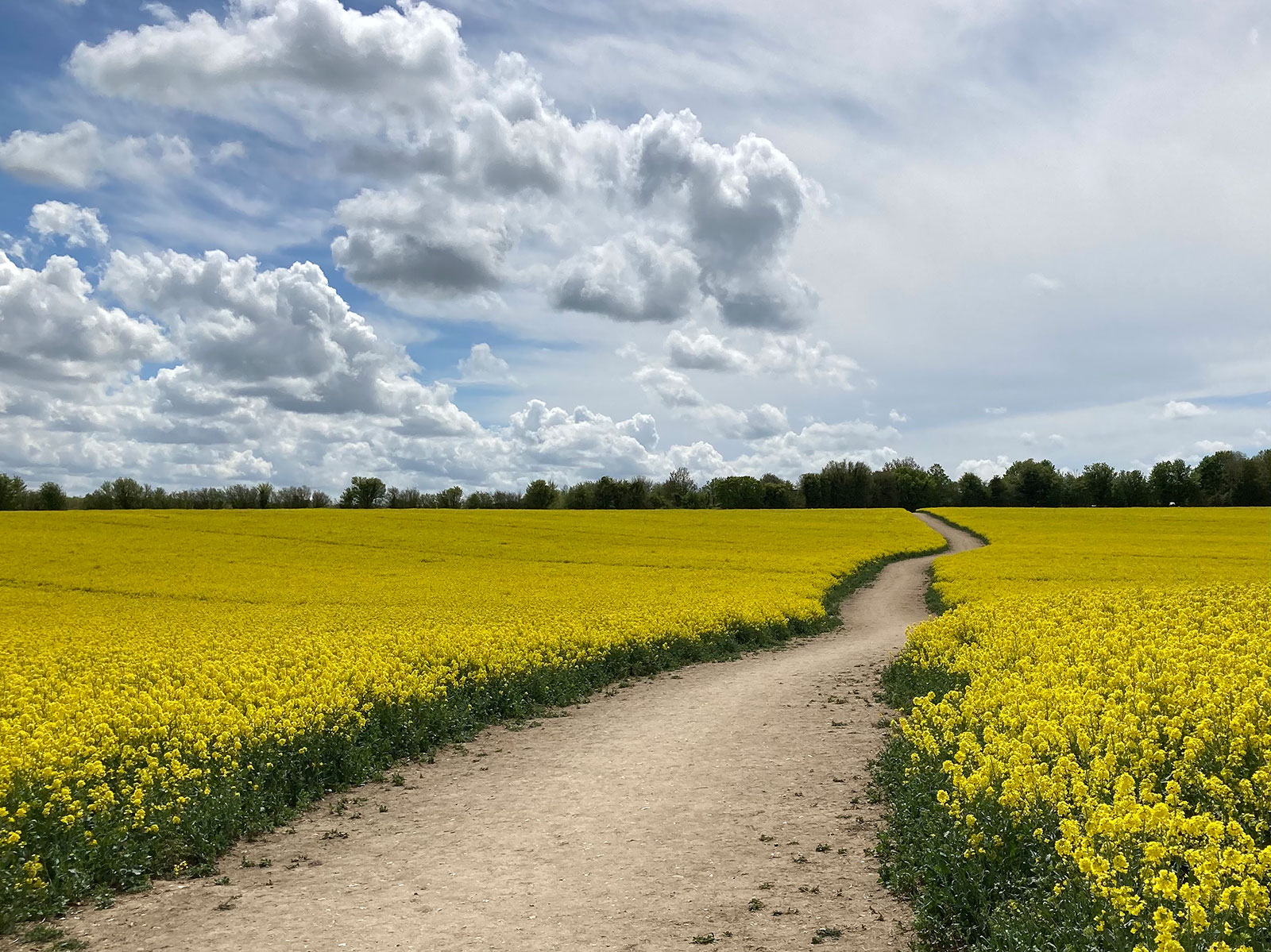 Lasting Power of Attorney Odiham Hook Wills Solicitor LPA Deputyship